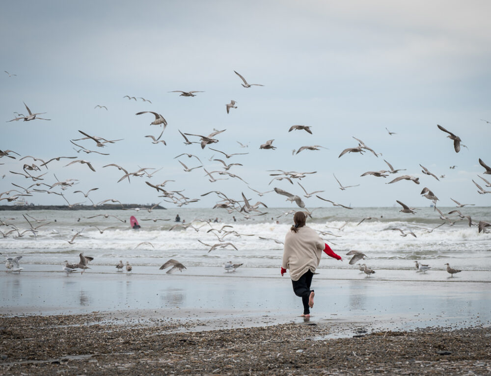 Boekrecensie De keuze – Edith Eva Eger - Vrijheidsvinder